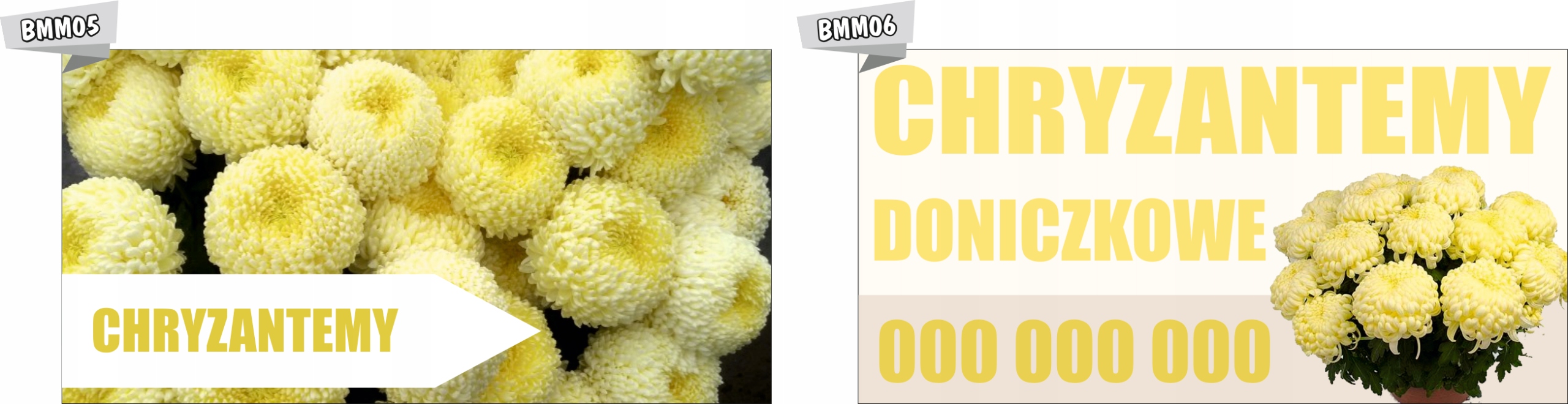 BANER CHRYZANTEMA CREAMIST reklamy na płot plandek