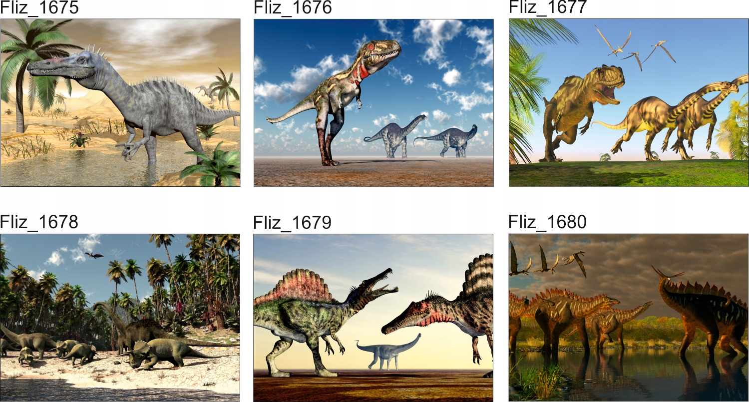 FOTOTAPETA dziecięca ŻABKA W WODZIE 395x280