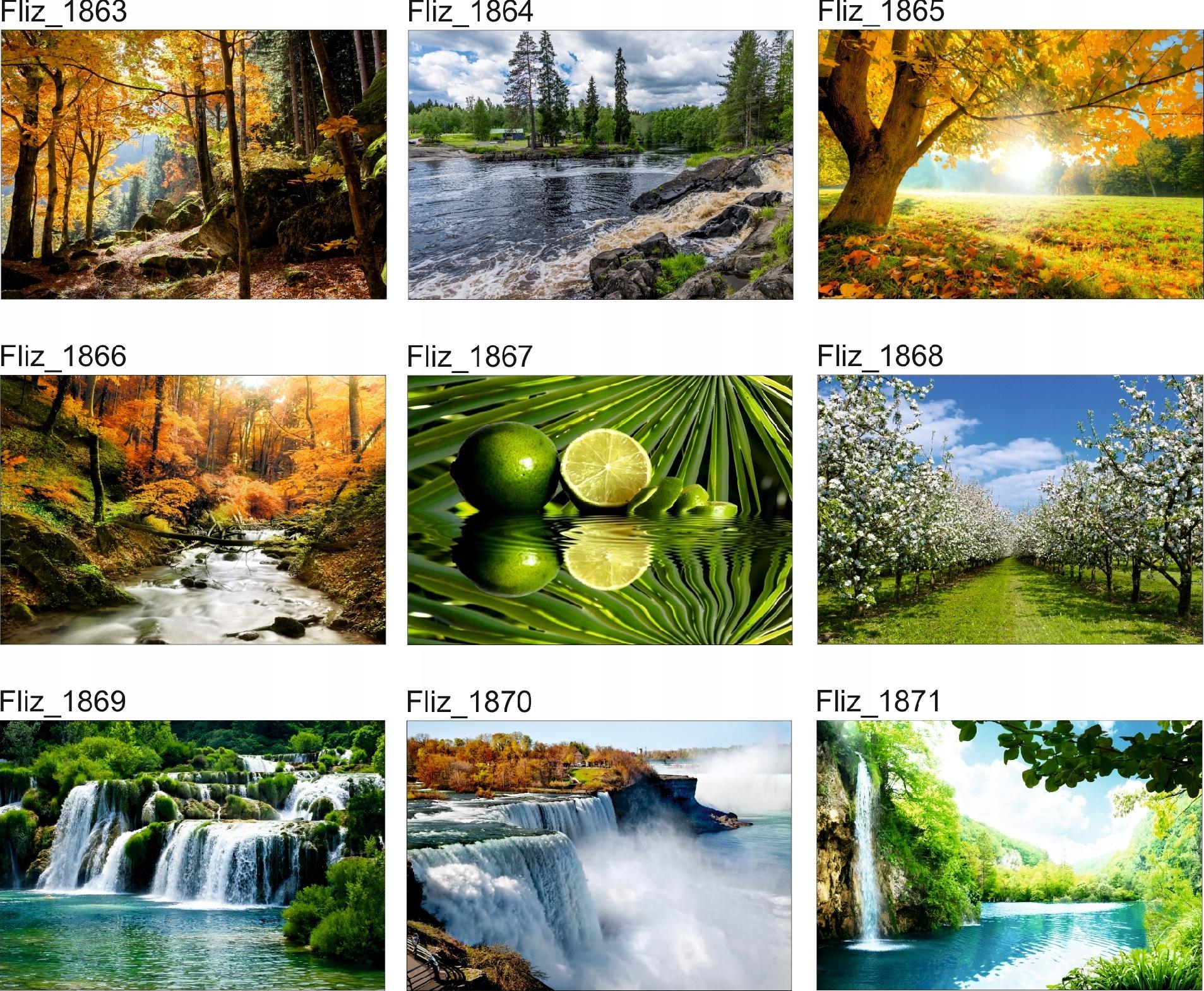 FOTOTAPETA KRAJOBRAZ PALMY PLAŻA WIDOK SŁOŃCE