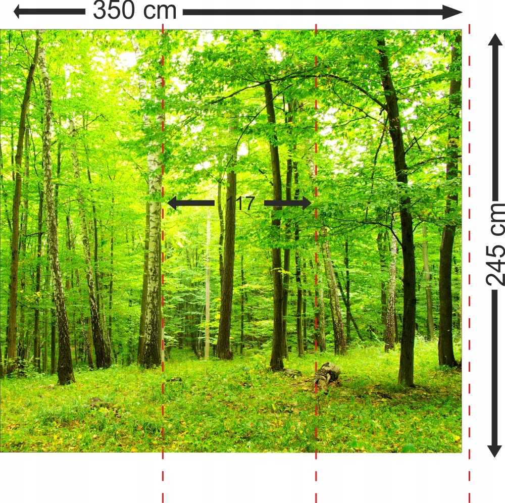 Fototapeta 3D dla dzieci akwarium rybki 350x245 FL