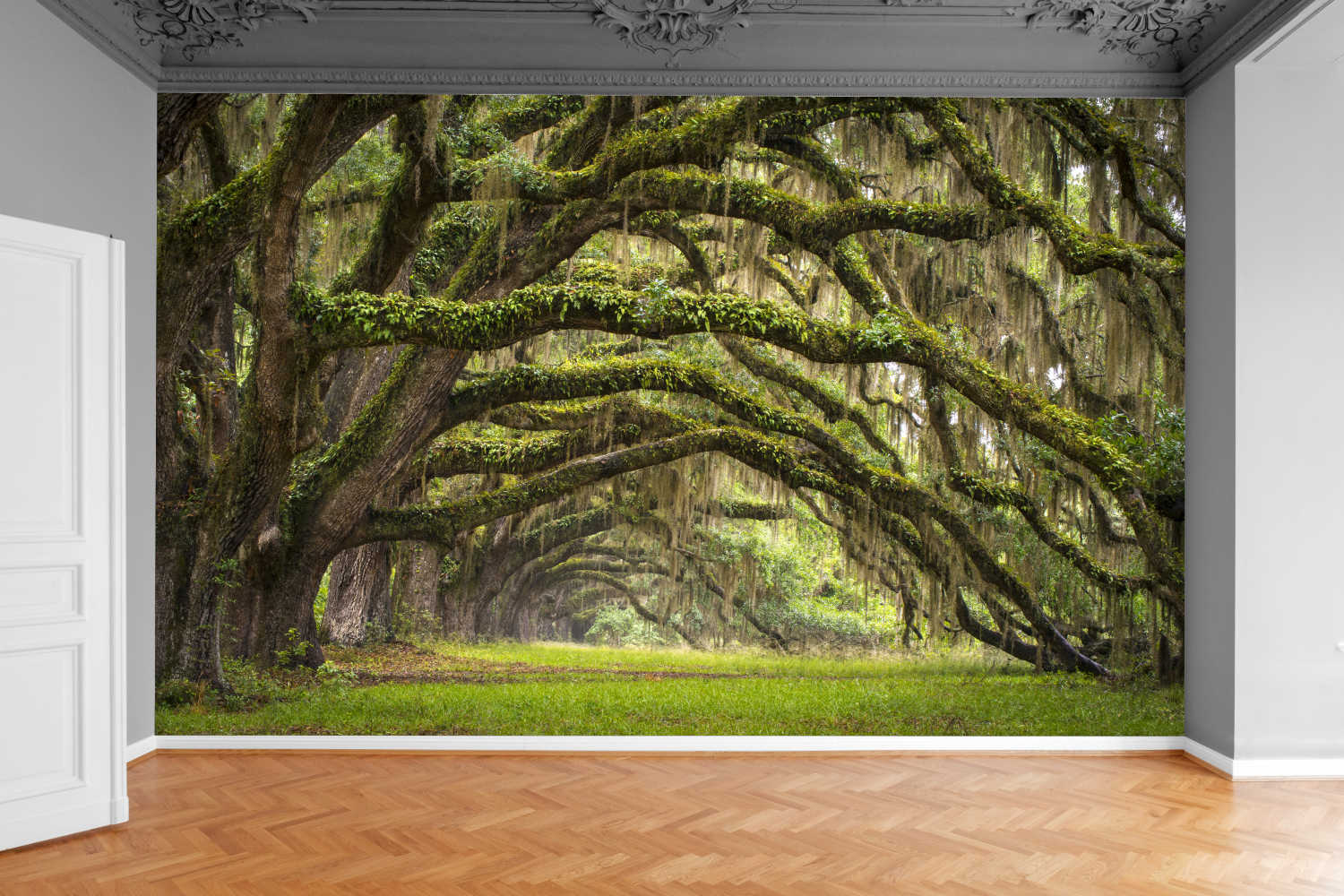 Fototapeta LEŚNY TUNEL DRZEWIASTY MCHY 200x130