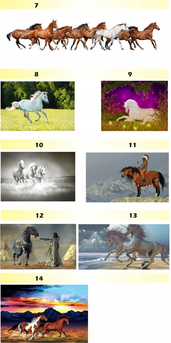 FOTOTAPETA zwierzęta brodzące FLAMINGI animacja