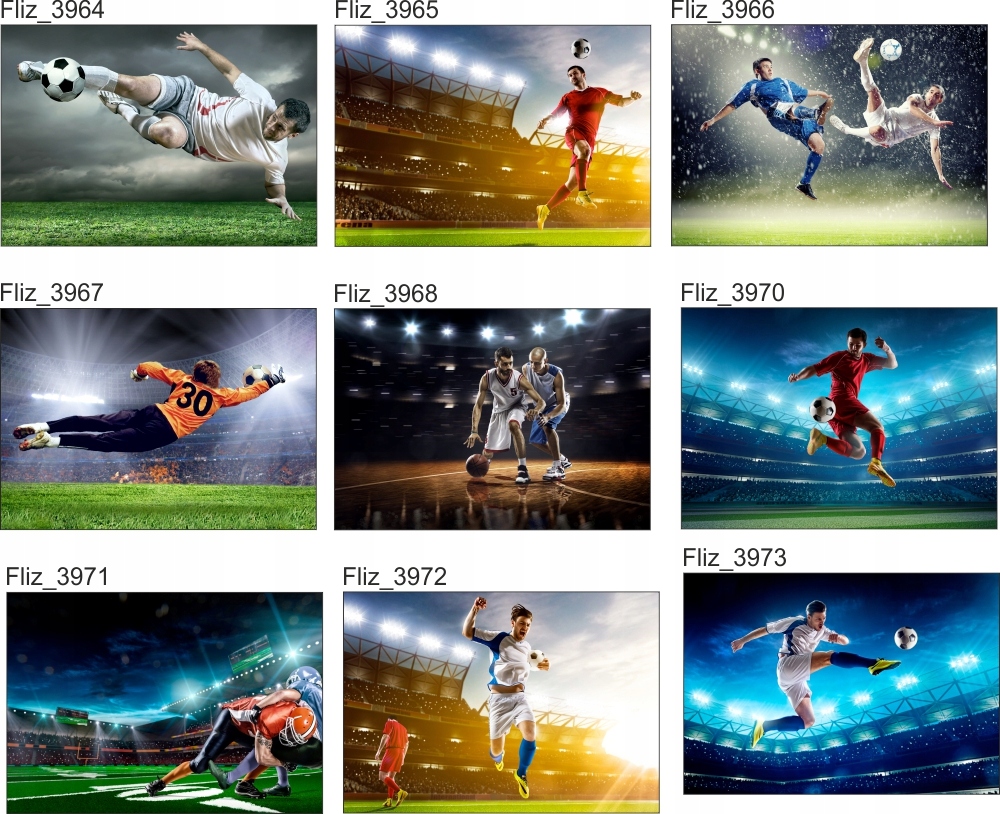 FOTOTAPETA PIŁKARSKA GOL PIŁKA BRAMKA