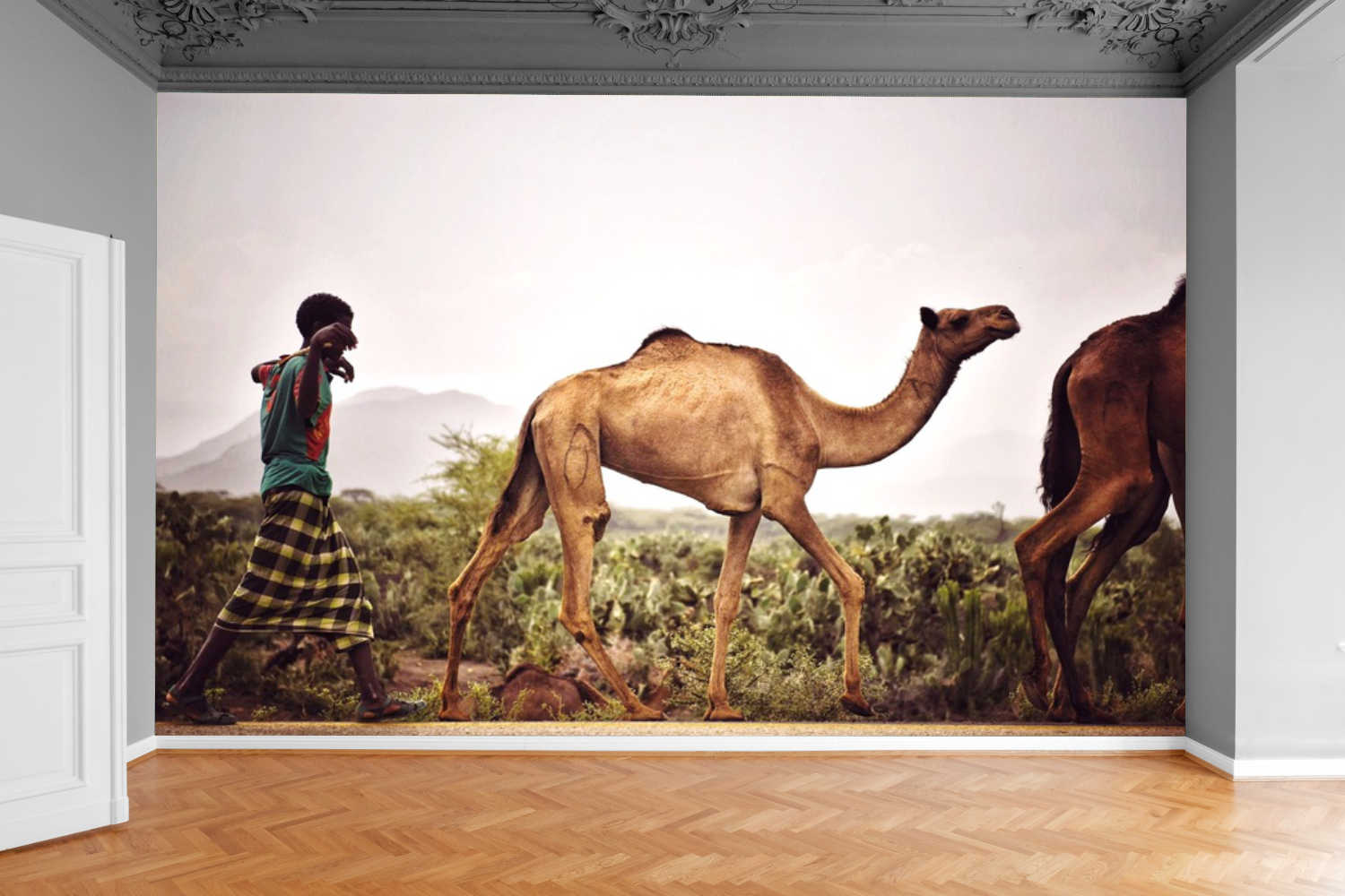 Fototapeta AFRYKAŃSKIE ZWIERZĘTA WIELBŁĄDY 200x130