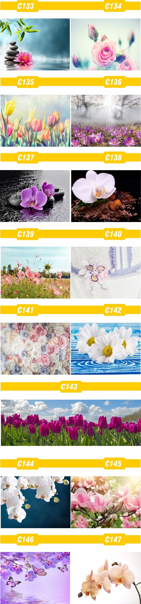 FOTOTAPETA rosliny KWIATY róże DUŻY WYBÓR WZORÓW