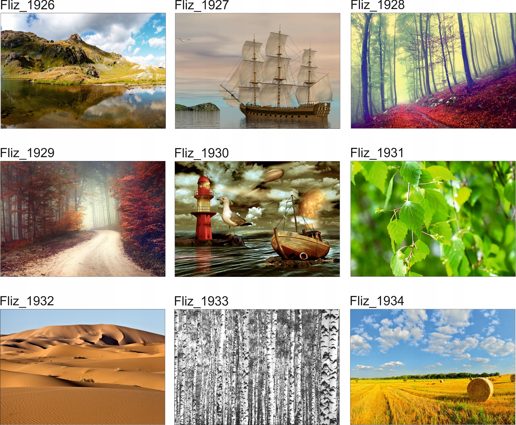 FOTOTAPETA KRAJOBRAZ JEZIORO DRZEWA WIDOK STAW