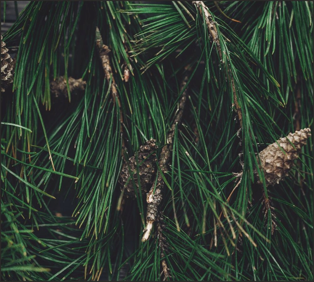 Tło do fotografii produktowej kulinarnej Flat Lay