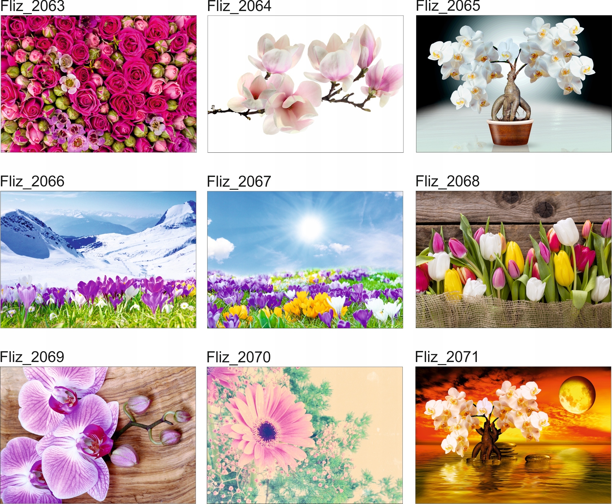 FOTOTAPETA KWIATY FIOLETOWY STORCZYK 3D