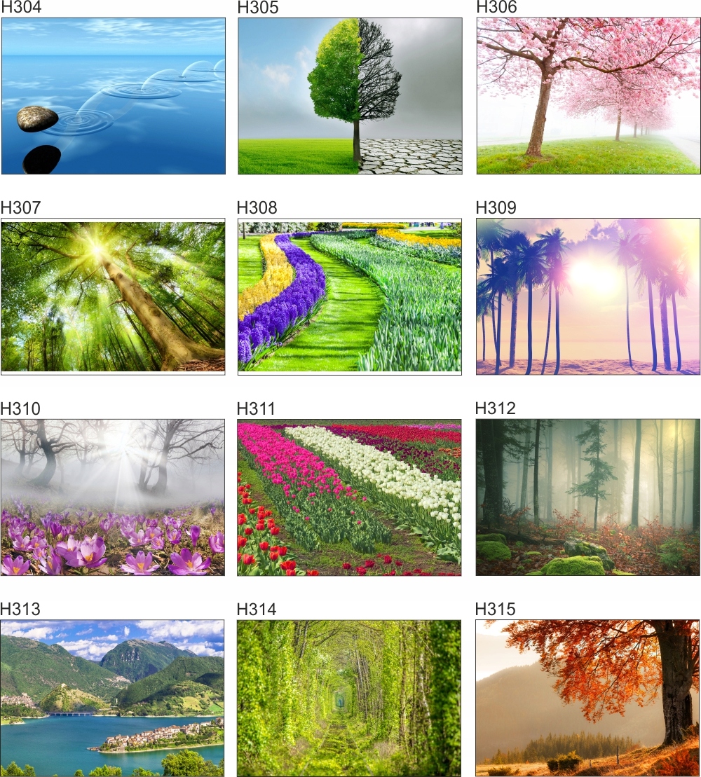 Fototapeta 3D widok kwiaty góry we mgle 200x130 FL