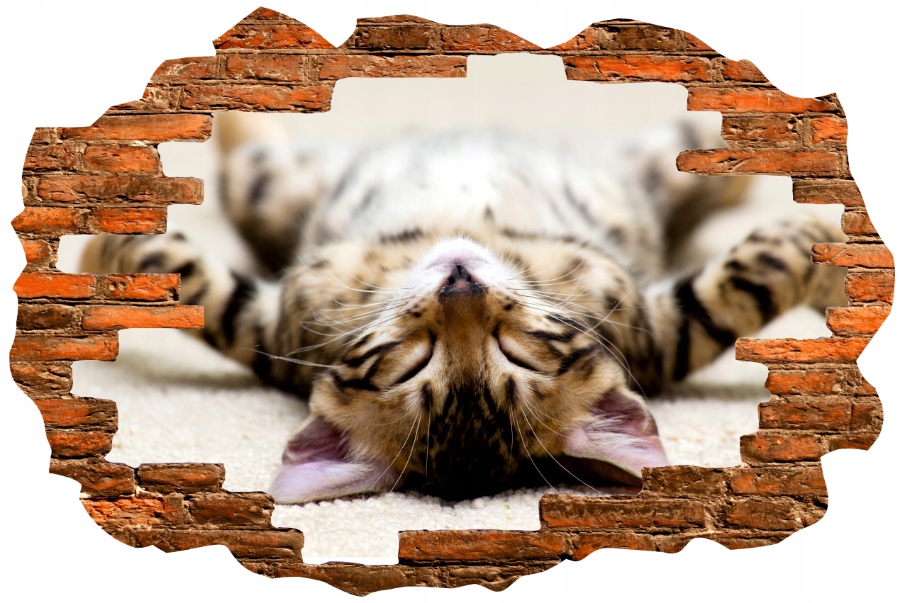 Naklejka samoprzylepna dziura 3D psy koty słodkie