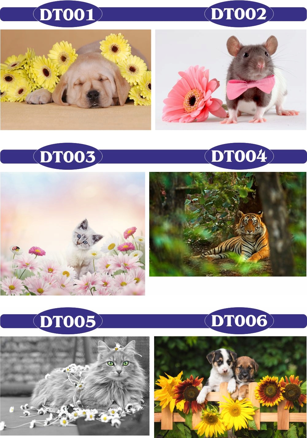 fototapety FOTOTAPETA 3d psy koty kwiaty zwierzęta