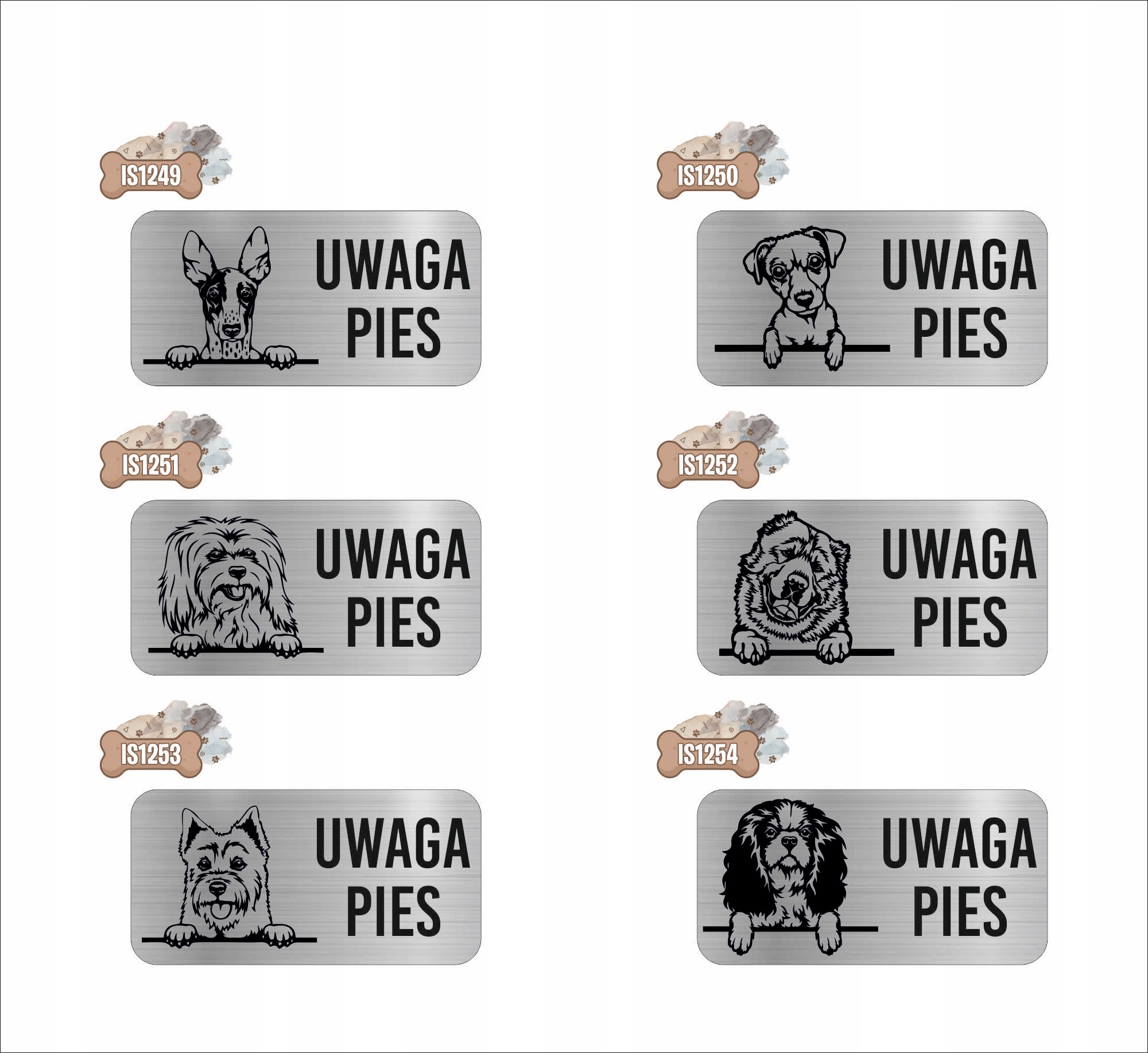 GRAWER Tabliczka nierdzewna 20x10 UWAGA PIES Owczarek australijski