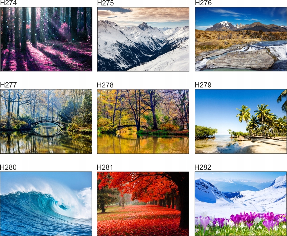 Fototapeta 3D WIDOK most w górach 260x200 FLI