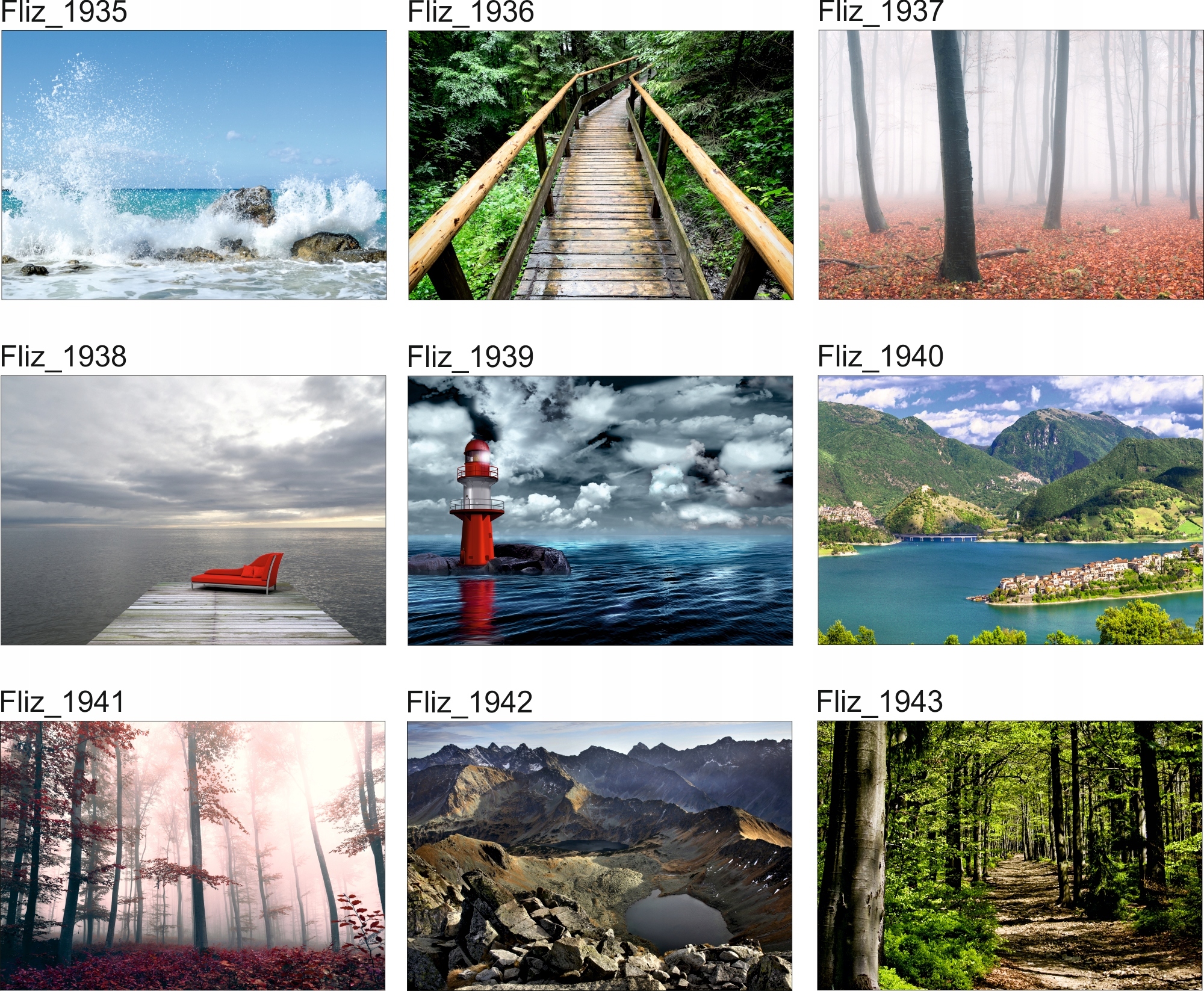 FOTOTAPETA KRAJOBRAZ LAS DRZEWA TUNEL Z DRZEW