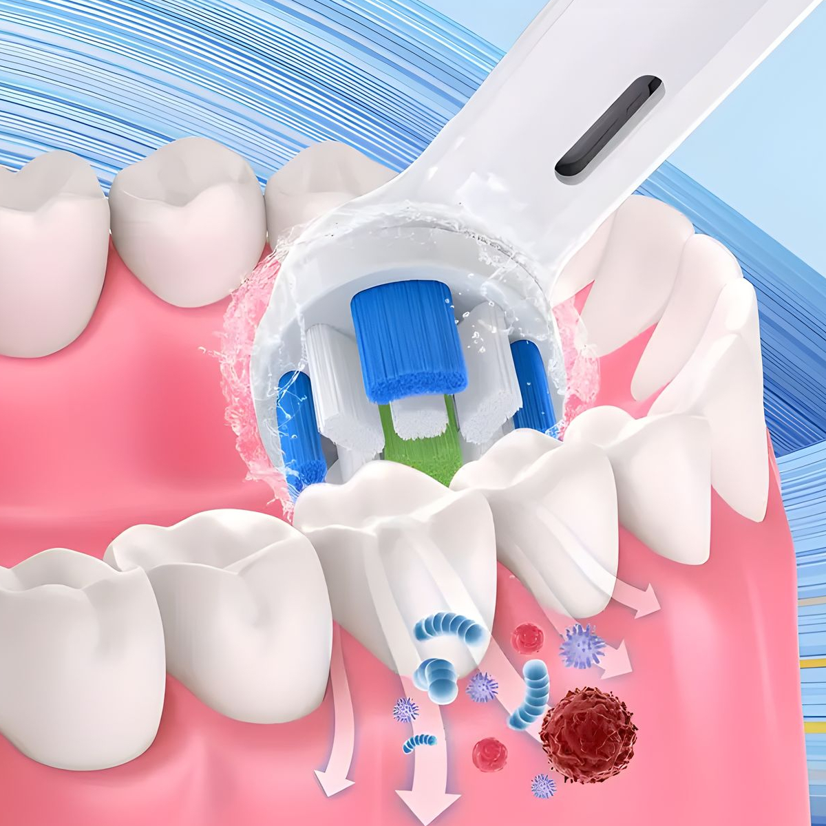 Capete de schimb WELLMI detaliu