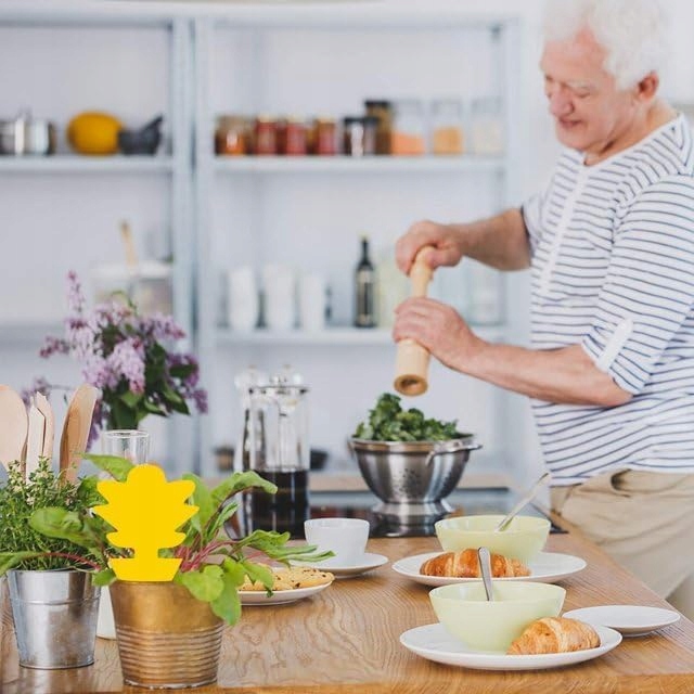 Doniczkowe lepy na owady WingRepel 40 sztuk