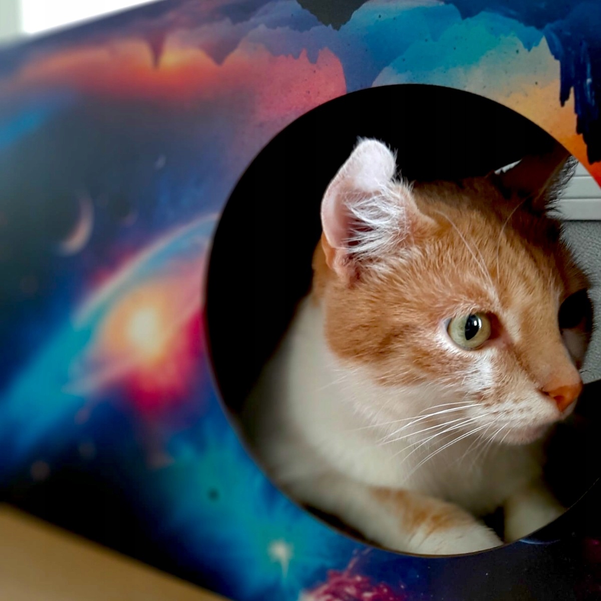 Drapak dla kota Kosmos | 53x28x30 cm | MruuPruu