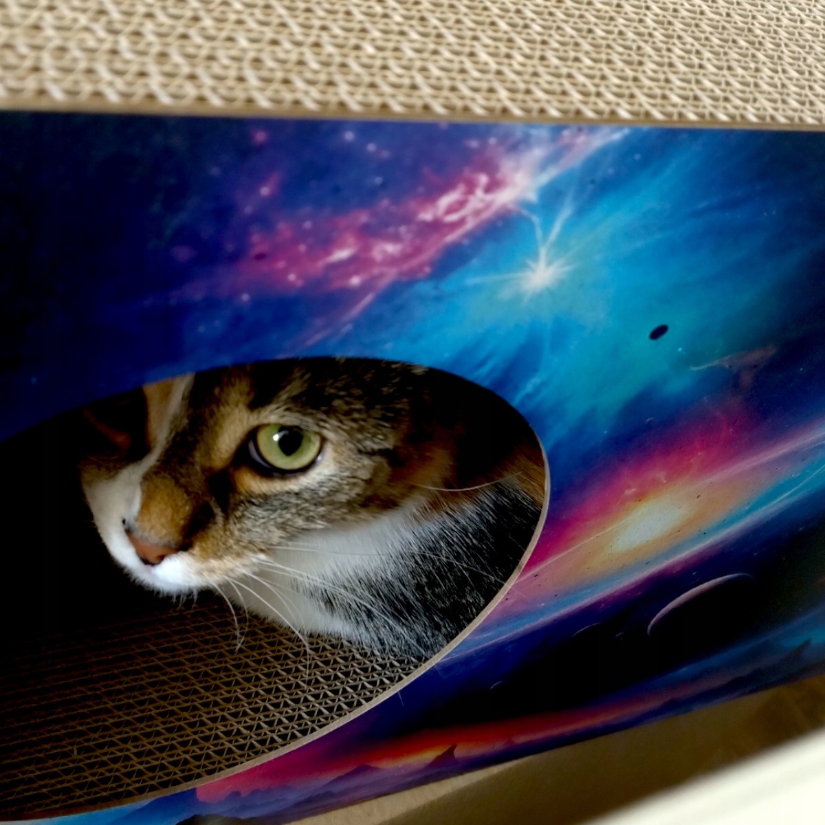 Drapak dla kota Kosmos | 53x28x30 cm | MruuPruu