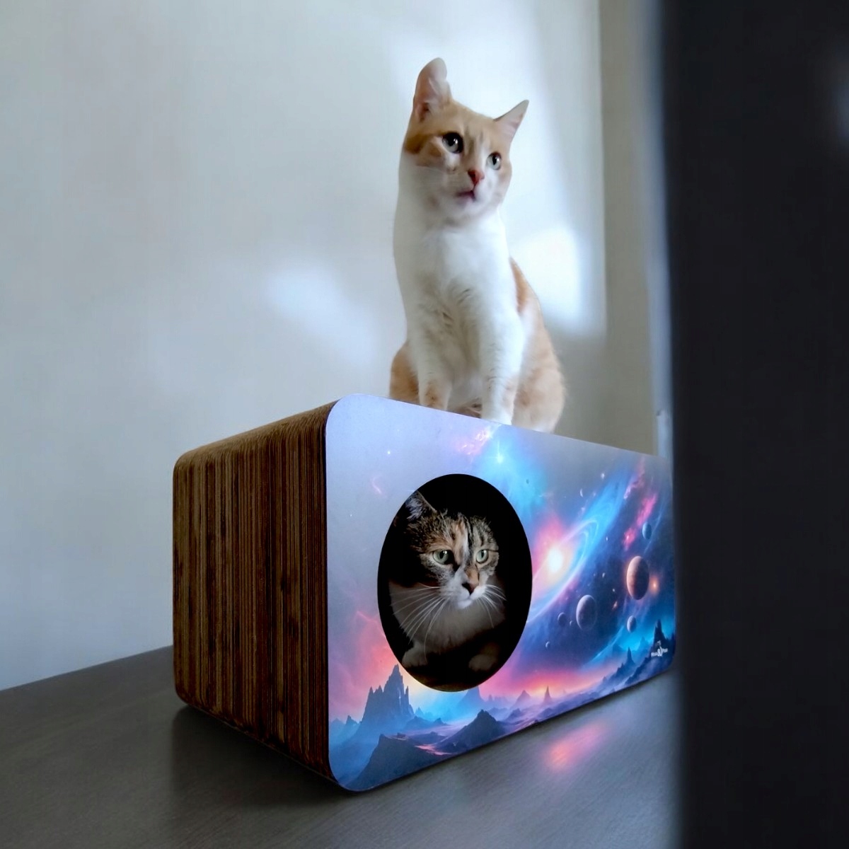 Drapak dla kota Kosmos | 53x28x30 cm | MruuPruu