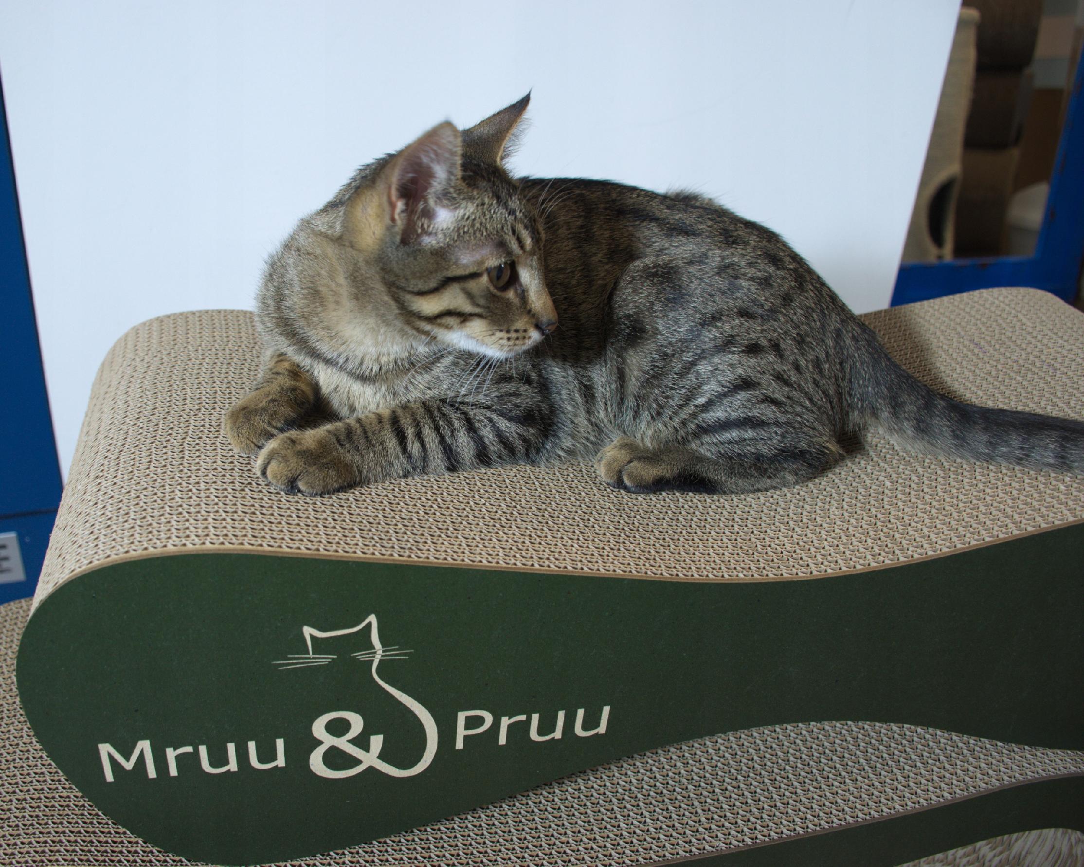 Drapak dla kota MIMI | zielony | 70x23x24 cm | MruuPruu