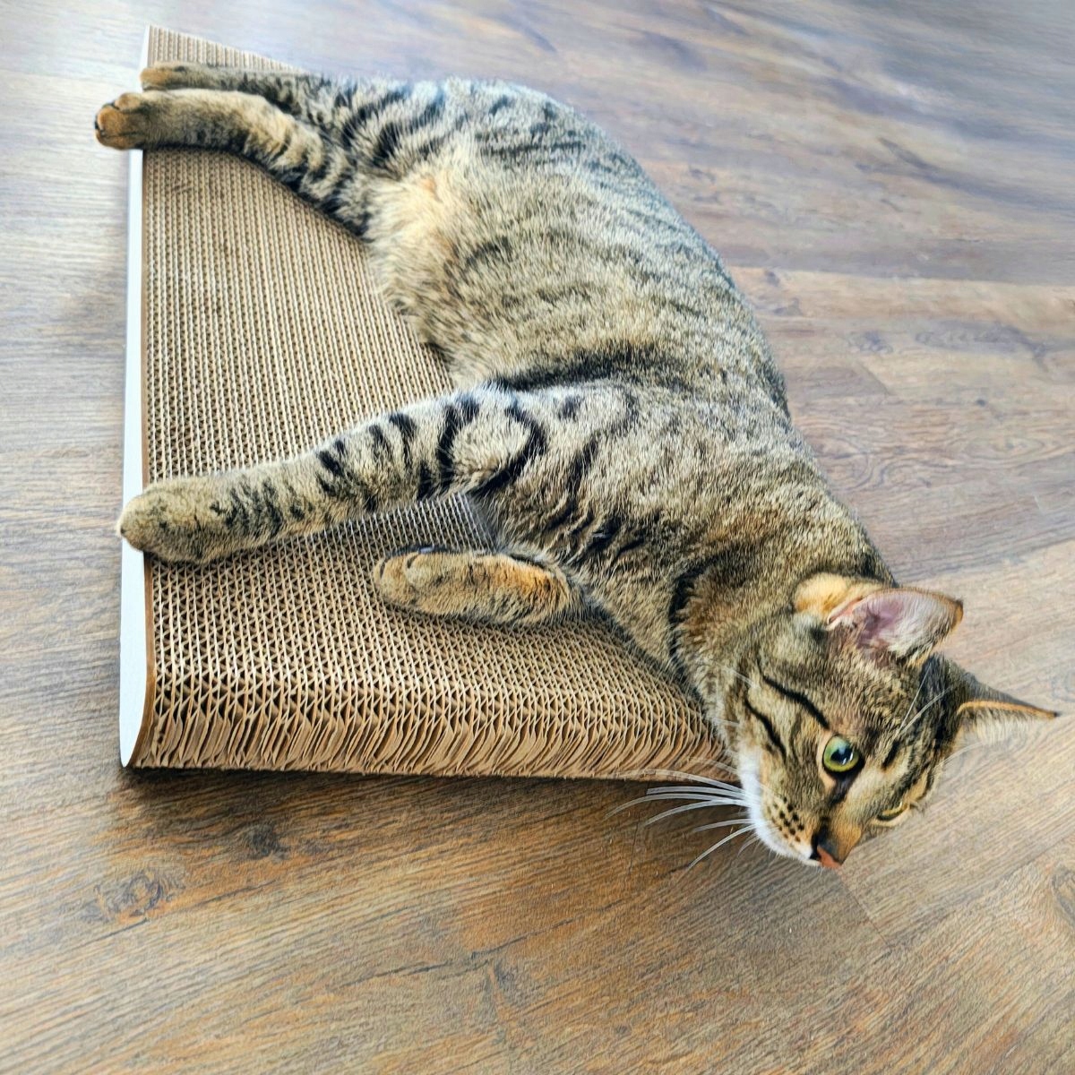 Drapak dla kota SIGMA | biały 40cm | 58x6.6x40 cm | MruuPruu