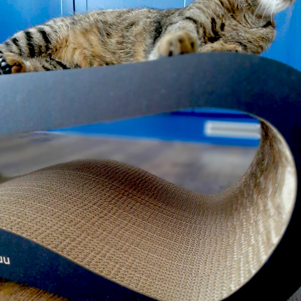 Drapak dla kota LEON | czarny 40cm |78x28x40 cm | MruuPruu