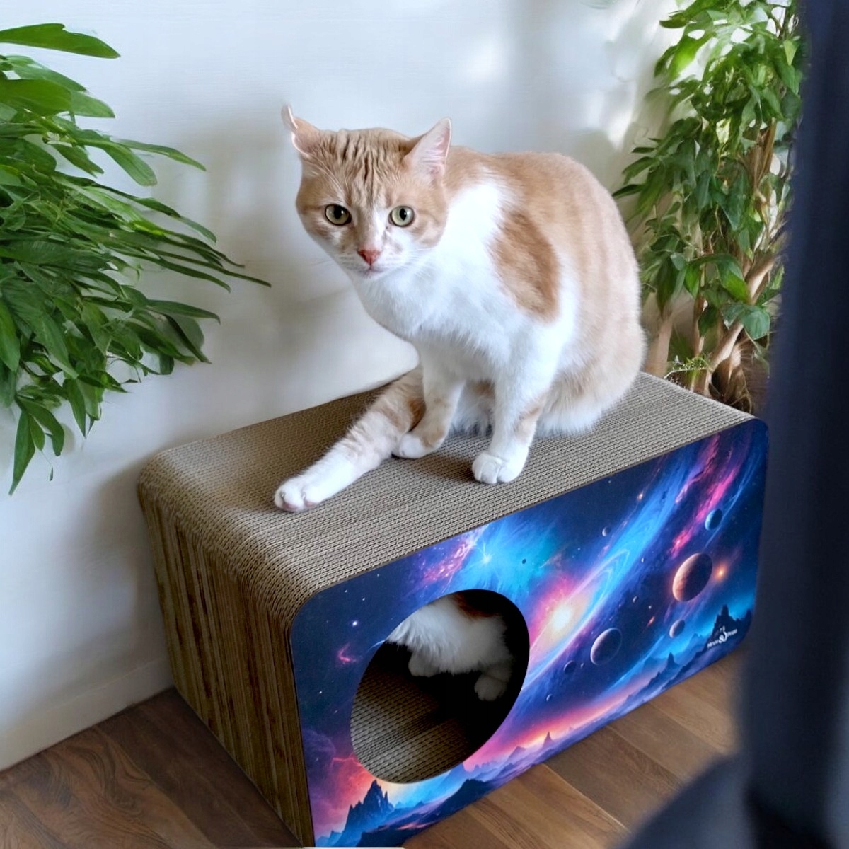 Drapak dla kota Kosmos | 53x28x30 cm | MruuPruu