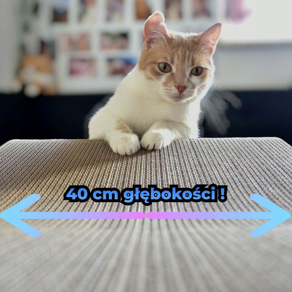 Drapak dla kota LEON | czarny 40cm |78x28x40 cm | MruuPruu