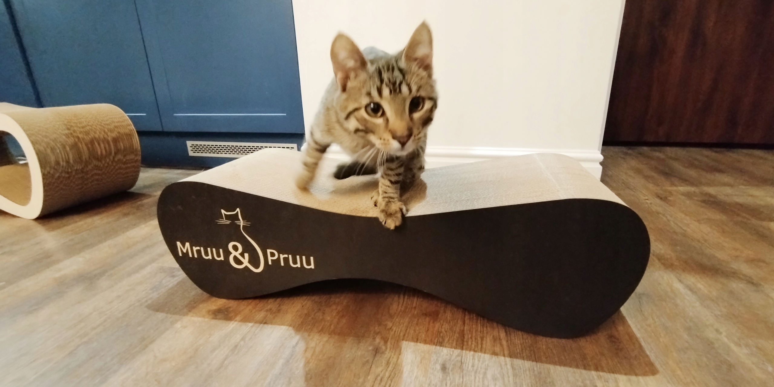 Drapak dla kota MIMI | czarny | 70x23x24 cm | MruuPruu