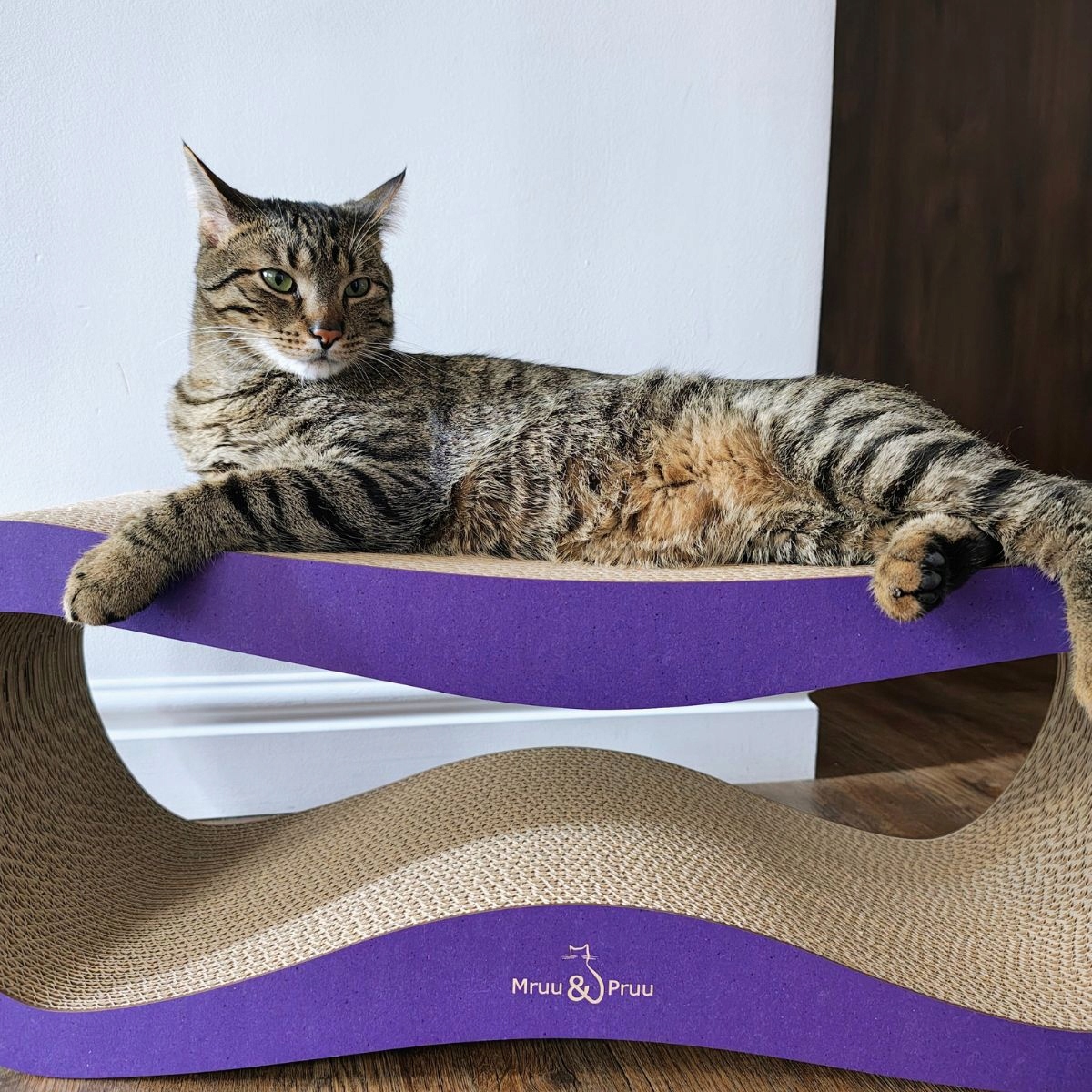 Drapak dla kota LEON | fioletowy | 78x28x24 cm | MruuPruu