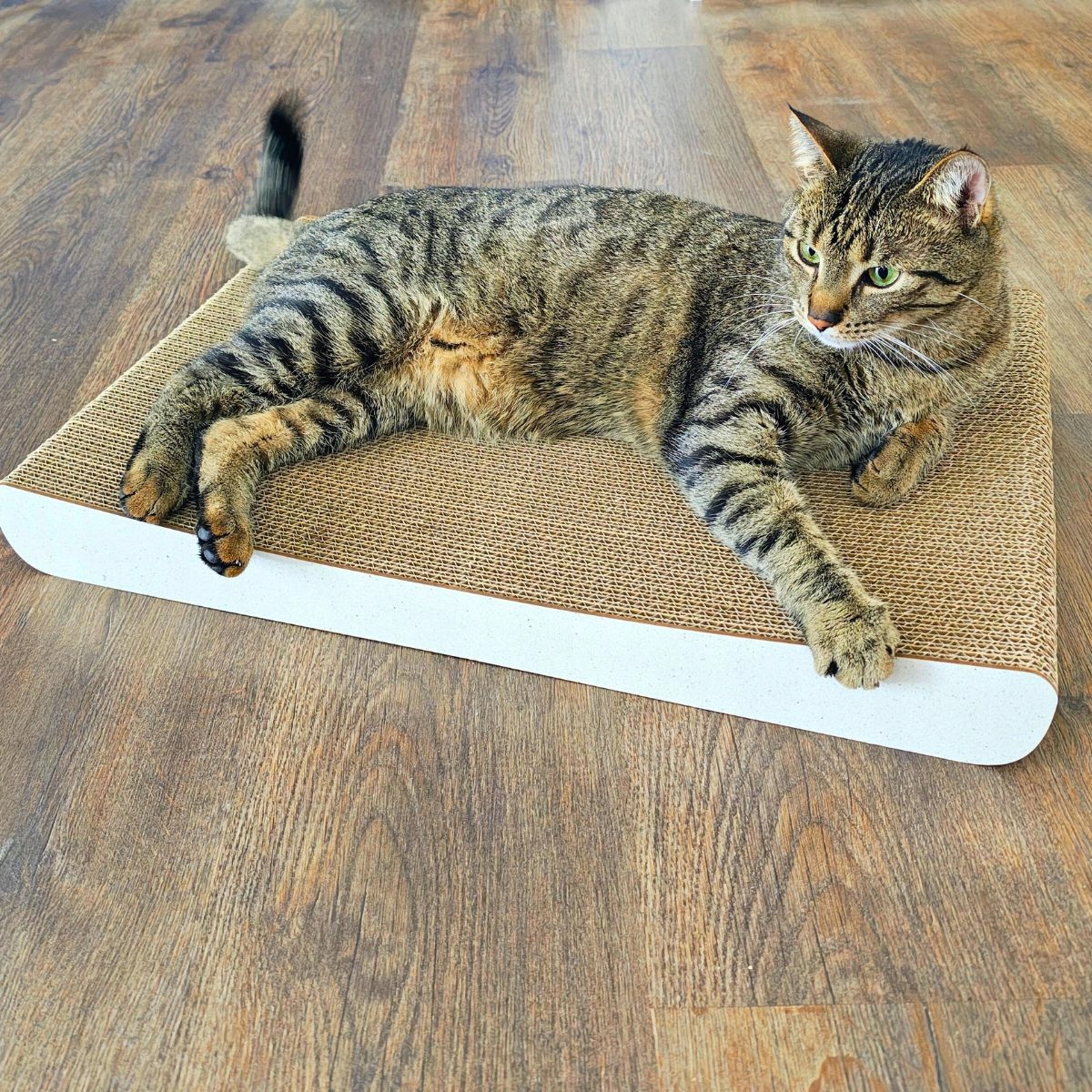 Drapak dla kota SIGMA | biały 40cm | 58x6.6x40 cm | MruuPruu