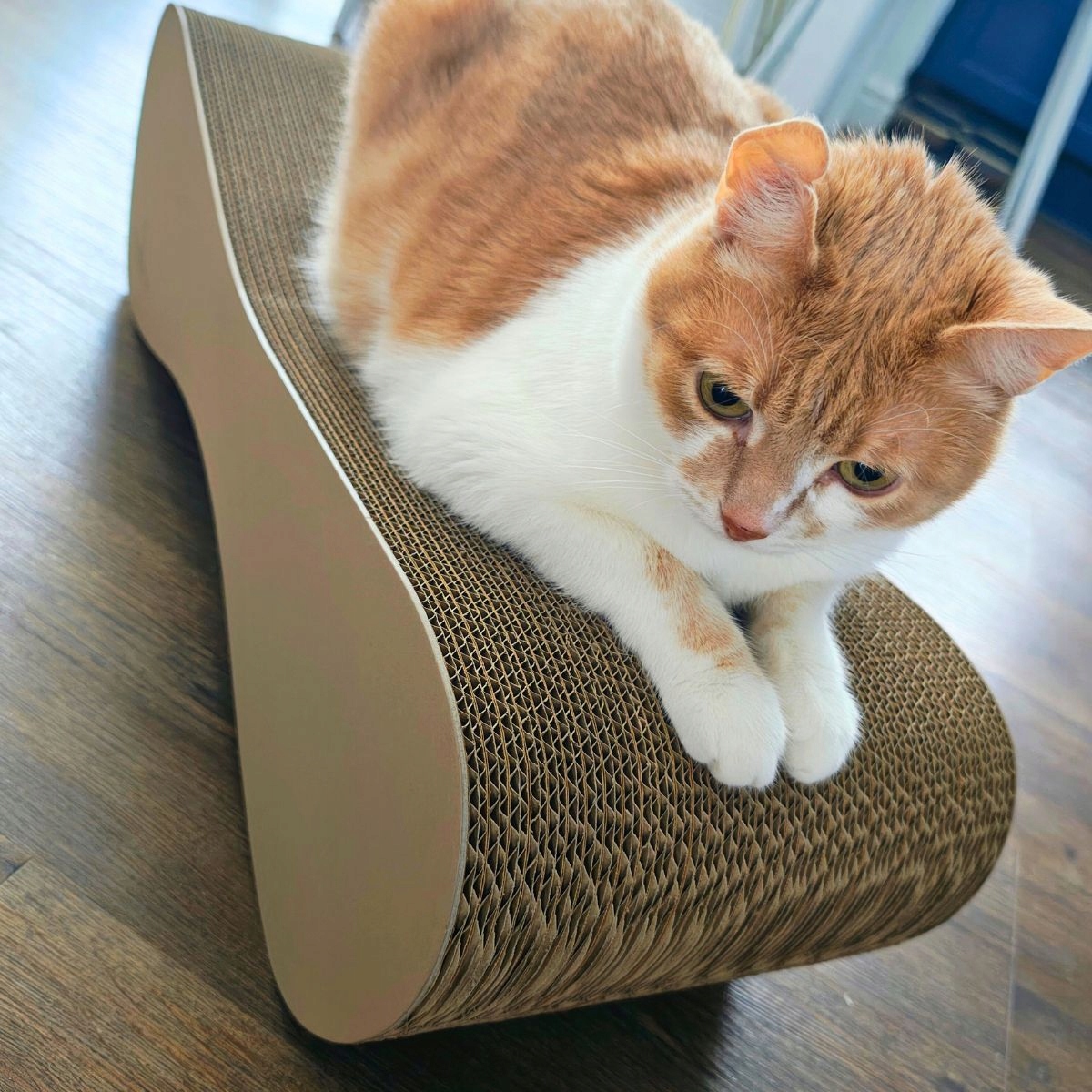 Drapak dla kota MIMI | cappuccino | 70x23x24 cm | MruuPruu