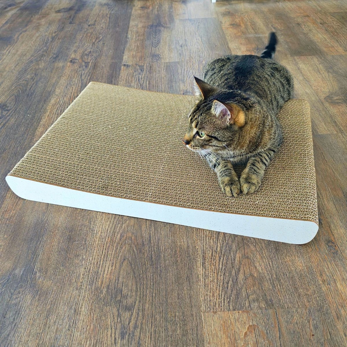 Drapak dla kota SIGMA | biały 40cm | 58x6.6x40 cm | MruuPruu