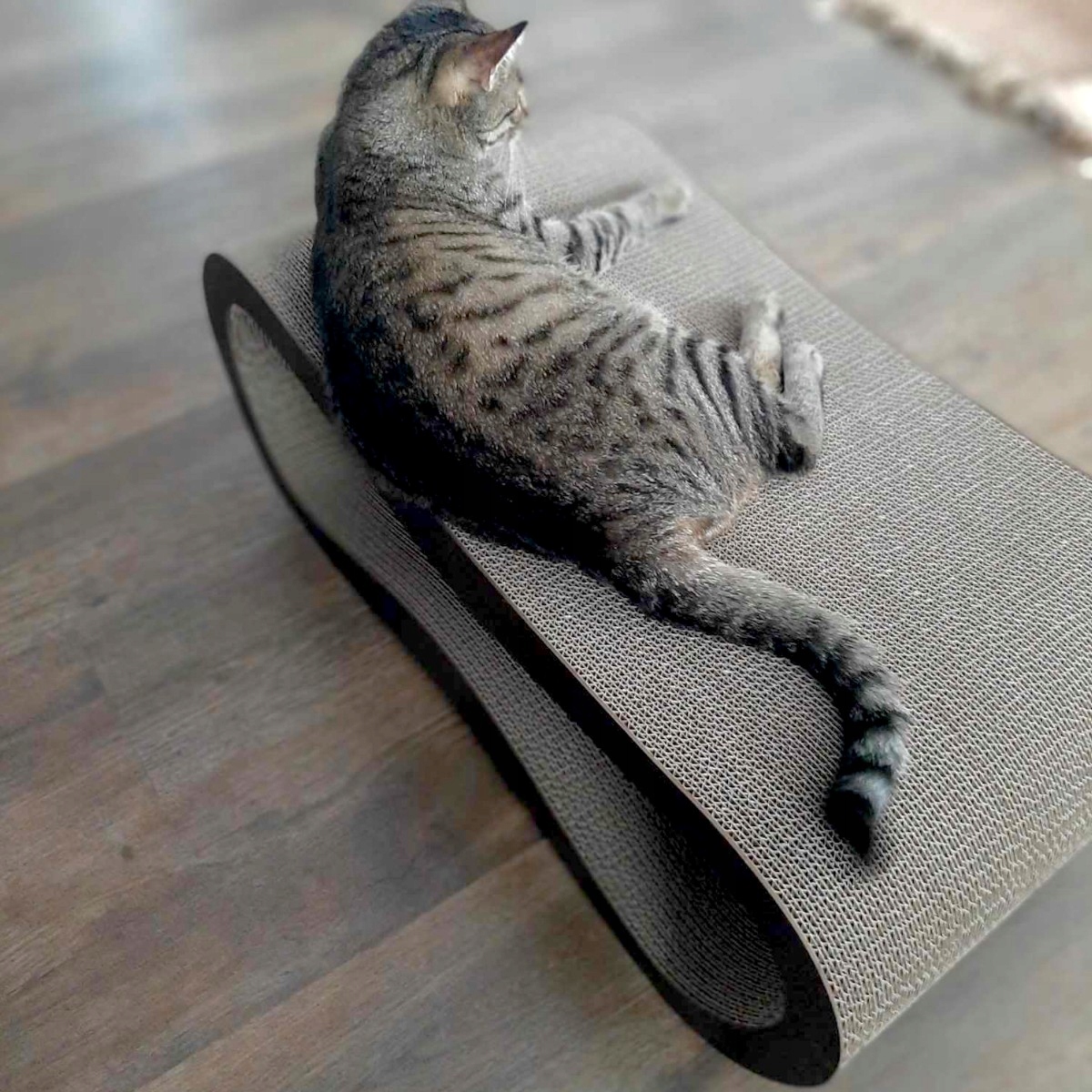 Drapak dla kota LEON | czarny 40cm |78x28x40 cm | MruuPruu