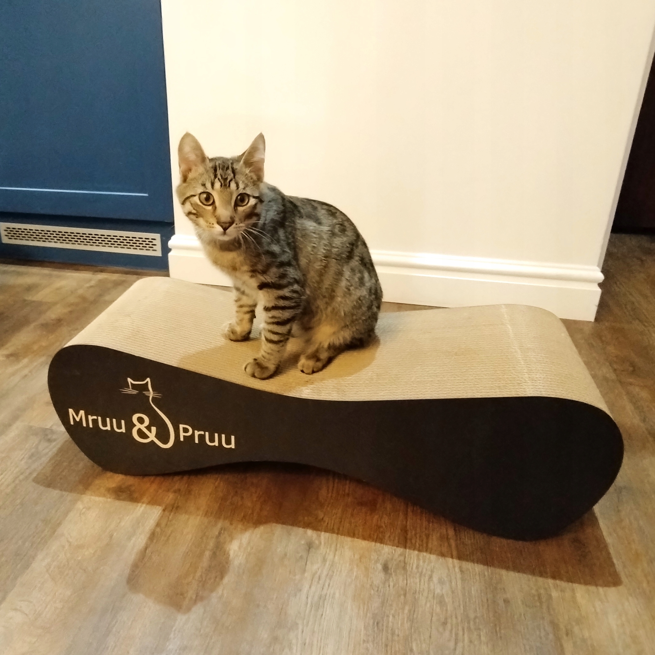 Drapak dla kota MIMI | czarny | 70x23x24 cm | MruuPruu