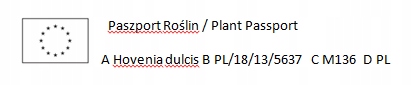 5280af00016584e808b9433d05c322e0.jpg
