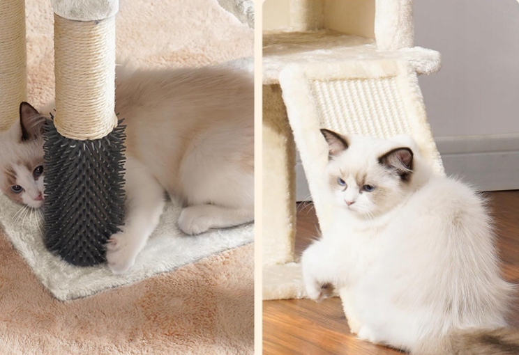 8bb77ef3249fd71676ae4c2e66befe4c.jpg