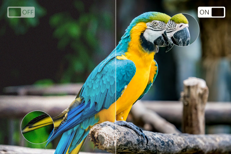 Telewizor do kampera smart tv 32 cale HD WiFi DVBT2 YouTube Netflix 12V