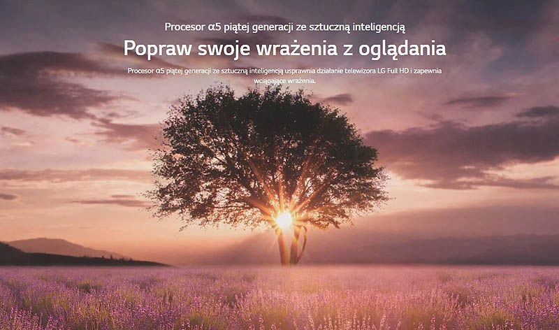 BIAŁY TELEWIZOR LG SMART TV WiFi BT webOS LED FHD 32'' Netflix YouTube 12V