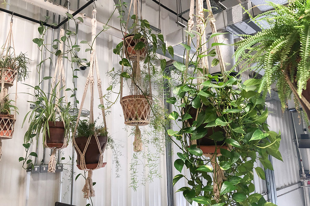 SZNUREK bawełniany biały ecru 2mm 100g 50m