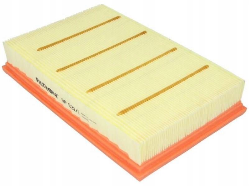 AP 031/1 - Filtr powietrza