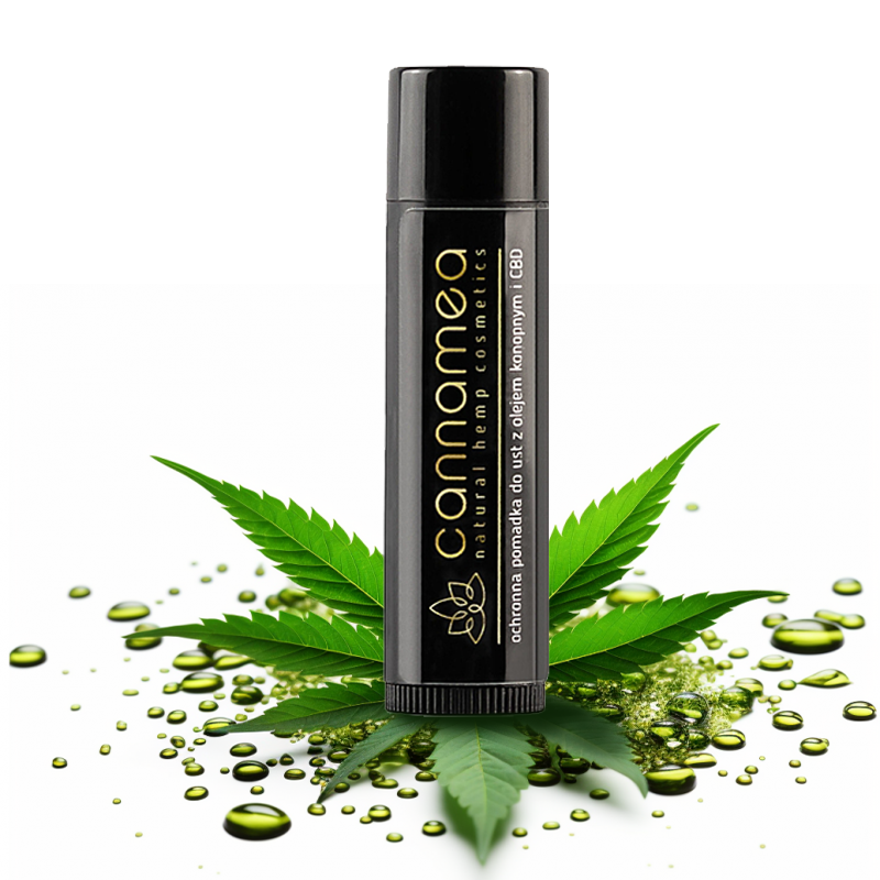 Zestaw prezentowy z kosmetykami CBD dla Mężczyzny 15 Zestaw prezentowy z kosmetykami CBD dla Mężczyzny - Molluscoo