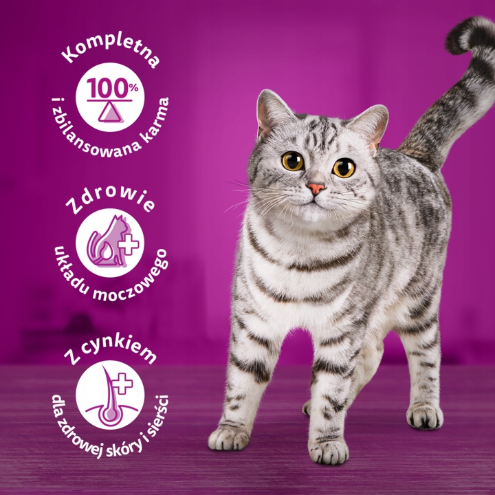 WHISKAS TASTY MIX MOKRA KARMA DLA KOTA WIEJSKIE SMAKI W SOSIE 4 X 85 G