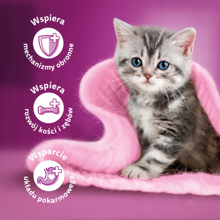 WHISKAS JUNIOR MOKRA KARMA DLA KOCIĄT WOŁOWINA KURCZAK W SOSIE 4 X 85 G