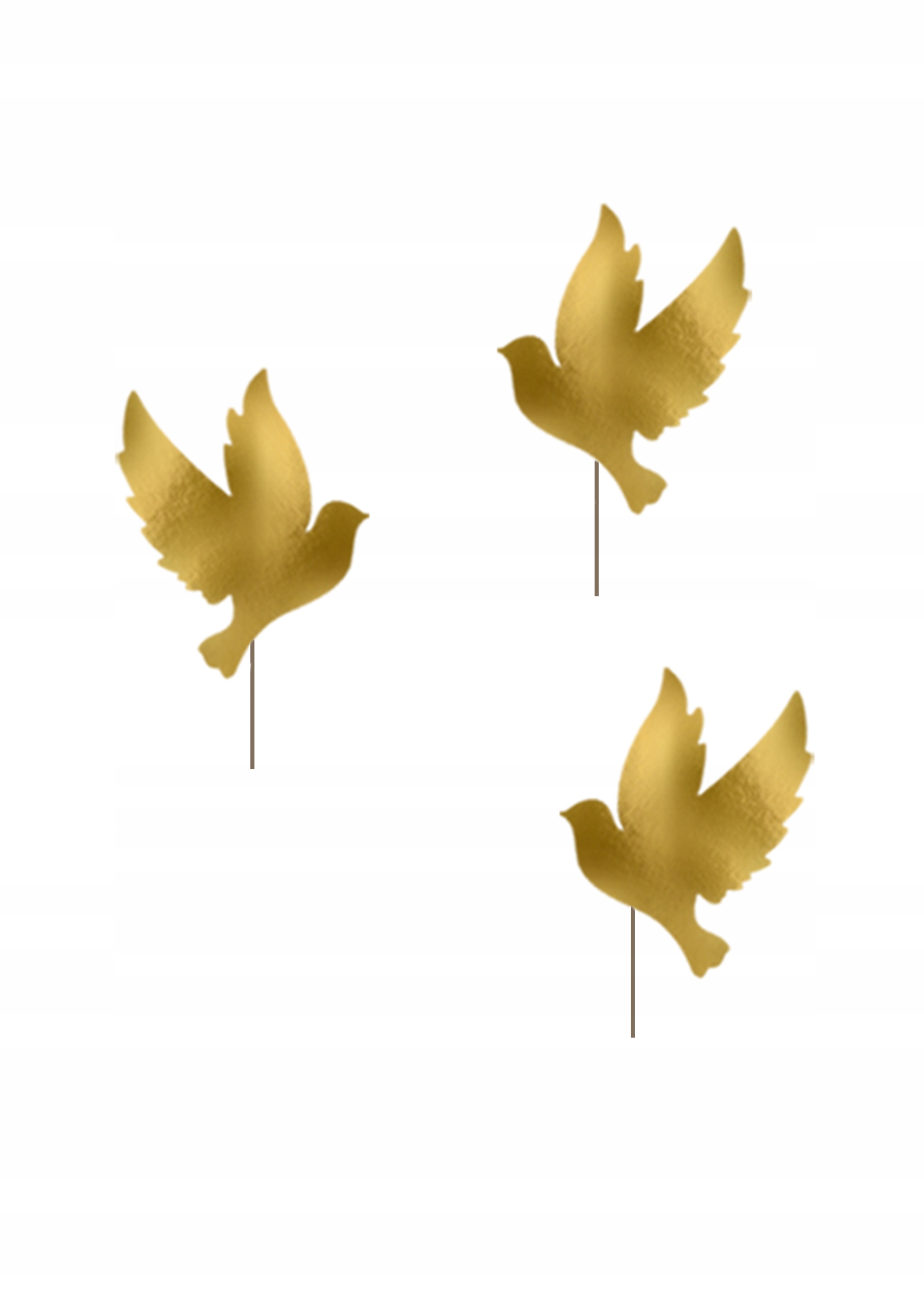 Grafika poglądowa produktu