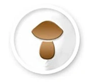 c40b6c3d462b83f1cb9528ec0d2c10e1.png