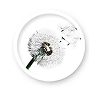 cd6495b9571ca323fbd41581e22ad822.png