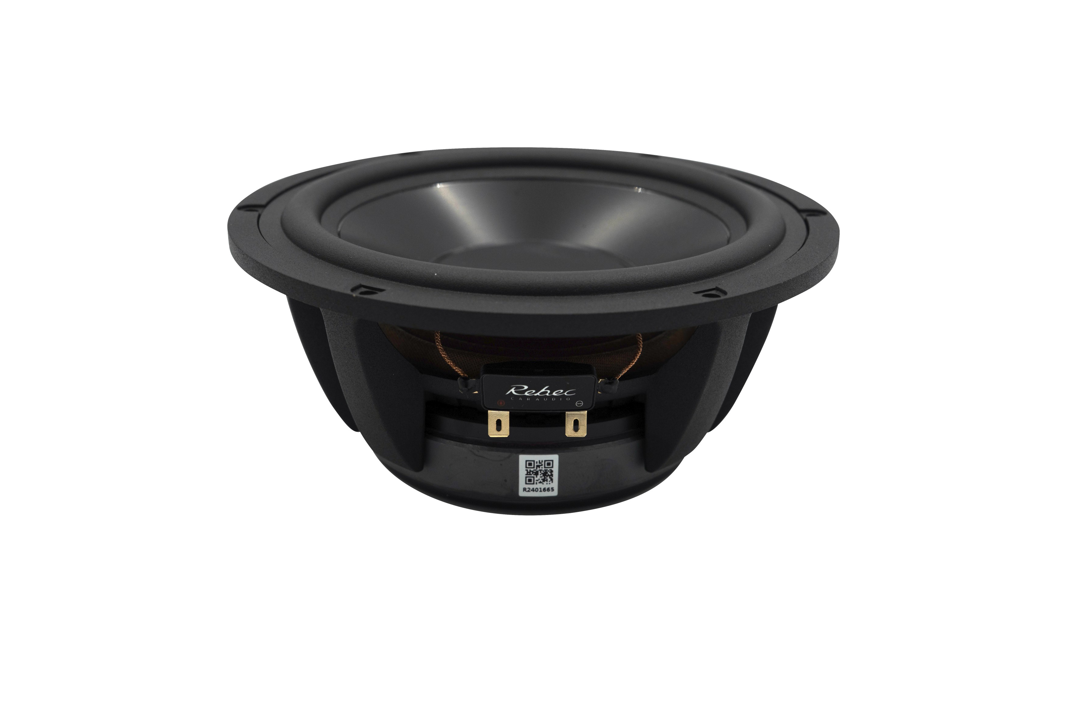 REBEC RS-Series RS165 widok pod kątem z zaciskami
