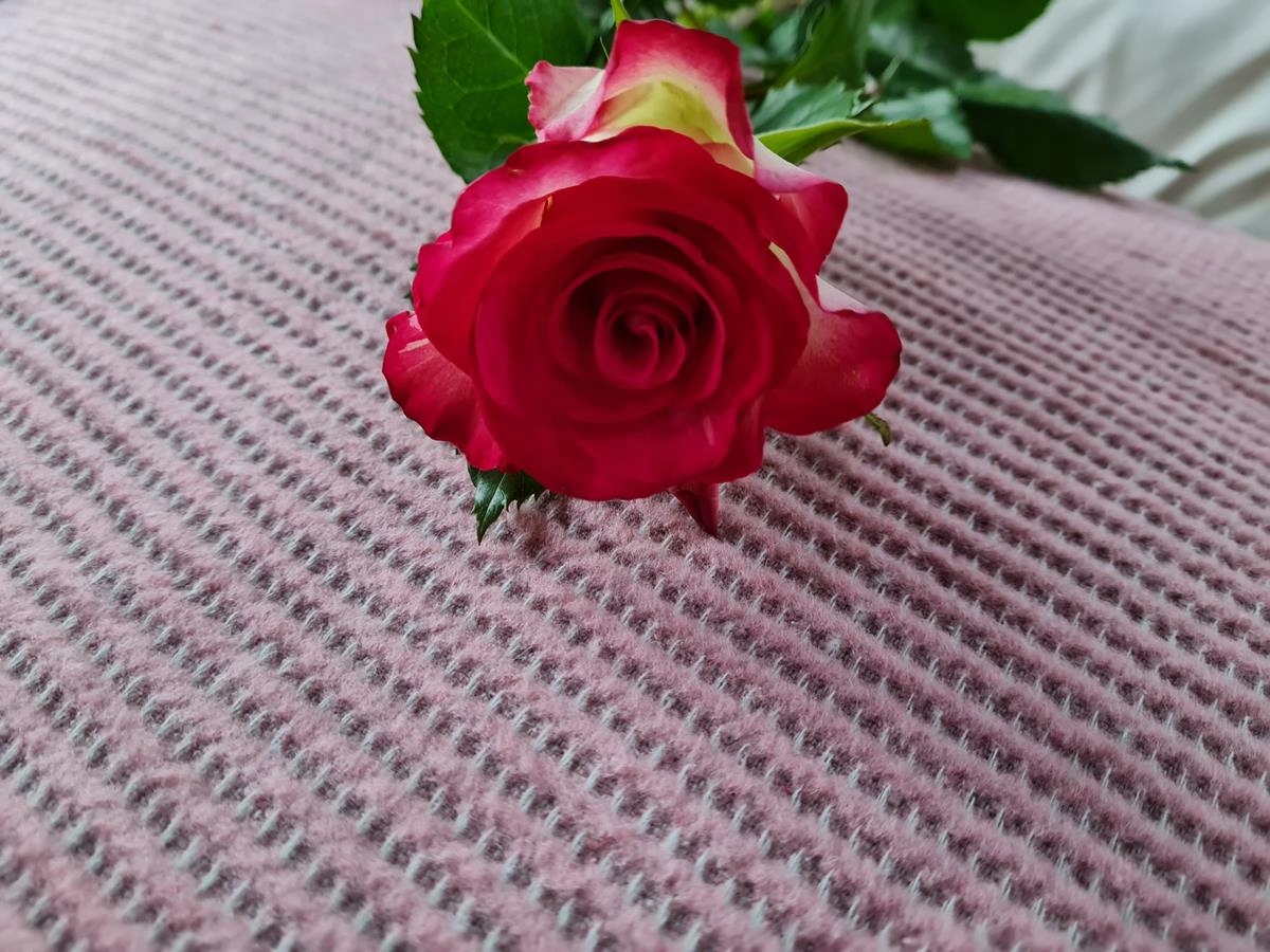 Koc narzuta AMBER 70x160 Design91 pudrowy