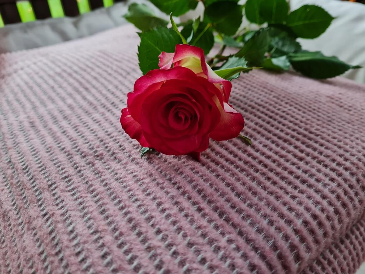 Koc narzuta AMBER 70x160 Design91 pudrowy